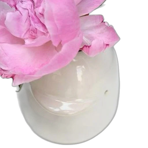 crown, jewelry, flower, hat transparent PNG cut-out