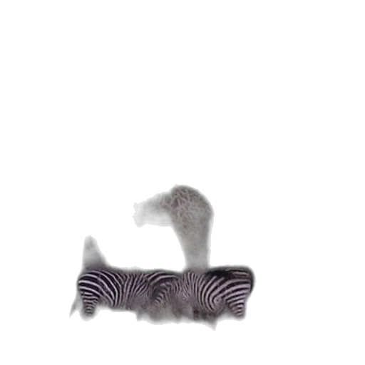 hair, animal, creature, shoes transparent PNG cut-out