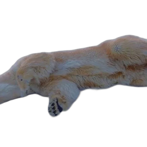 animal, creature, staff, dragon transparent PNG cut-out