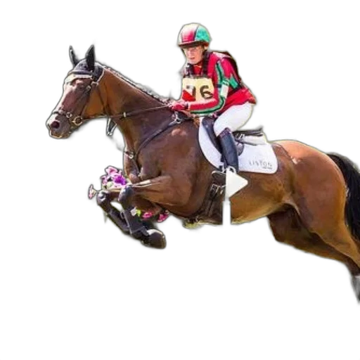 animal, rider, red, green transparent PNG cut-out