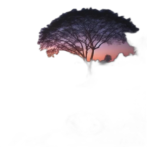 tree, umbrella, crown, hat transparent PNG cut-out