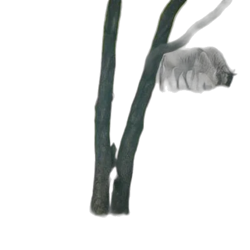 staff, tree, flower, weapon transparent PNG cut-out