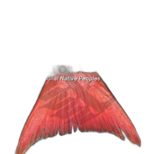 hair, hat, umbrella, crown transparent PNG cut-out