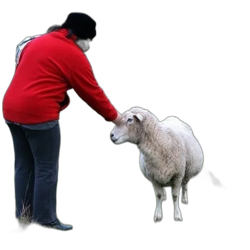 animal, creature, staff, jacket transparent PNG cut-out