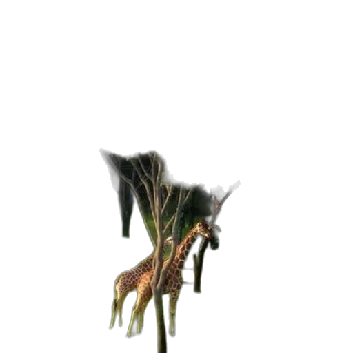 staff, dragon, creature, flower transparent PNG cut-out