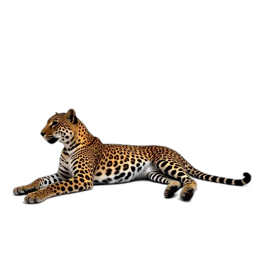animal, creature, staff, jewelry transparent PNG cut-out