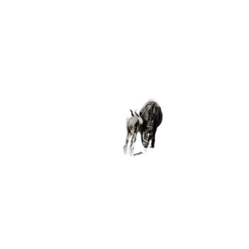 animal, creature, dragon, hair transparent PNG cut-out