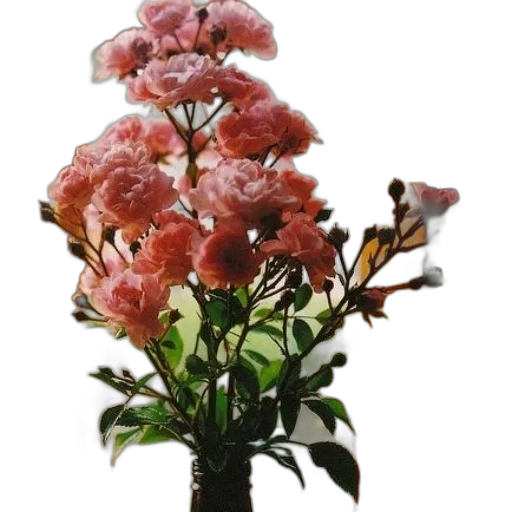 flower, crown, staff, tree transparent PNG cut-out
