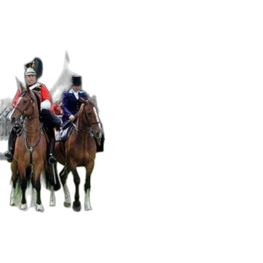 animal, staff, crown, hat transparent PNG cut-out