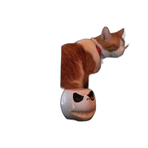 animal, hat, mask, staff transparent PNG cut-out