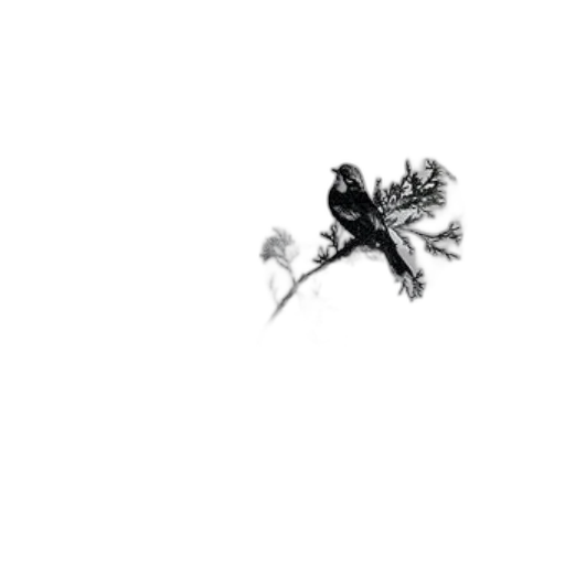 dragon, creature, weapon, animal transparent PNG cut-out