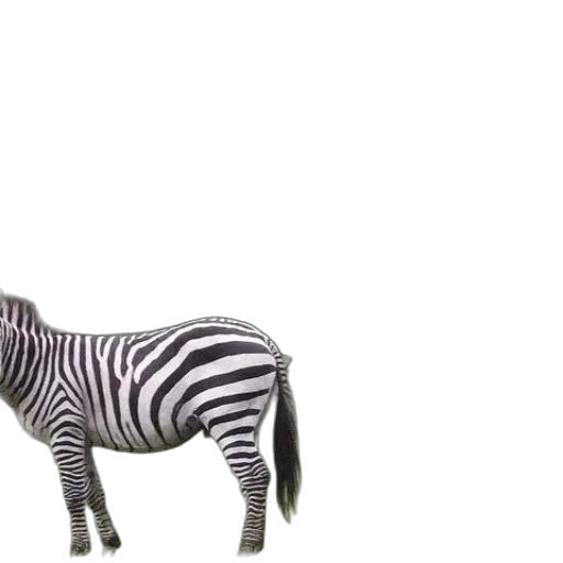 animal, creature, furniture, weapon transparent PNG cut-out