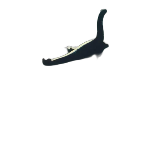 staff, shoes, weapon, jewelry transparent PNG cut-out