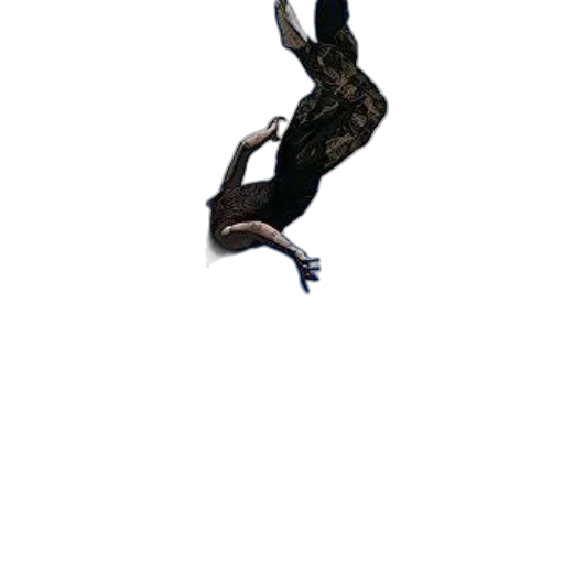 creature, animal, dragon, shoes transparent PNG cut-out