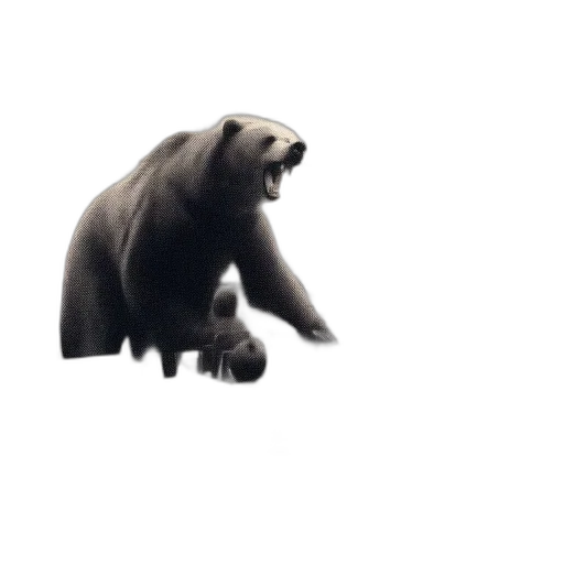 animal, creature, face, food transparent PNG cut-out