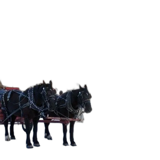 car, animal, staff, dragon transparent PNG cut-out