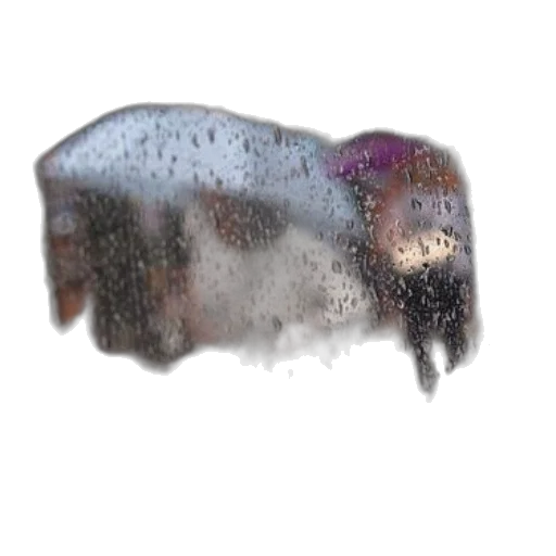 umbrella, hair, car, hat transparent PNG cut-out