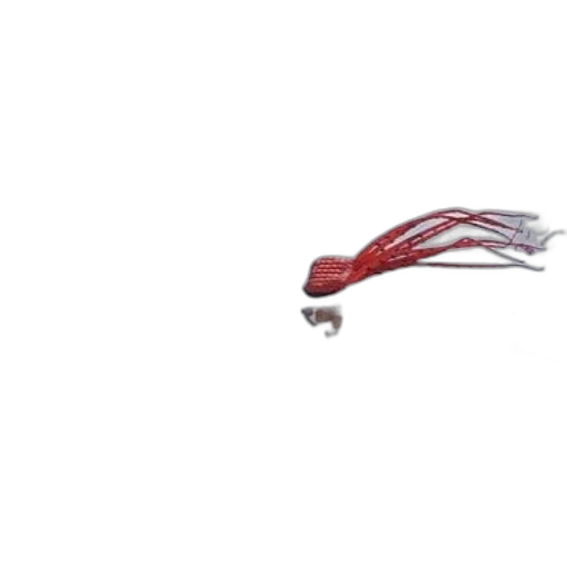 staff, jewelry, weapon, umbrella transparent PNG cut-out