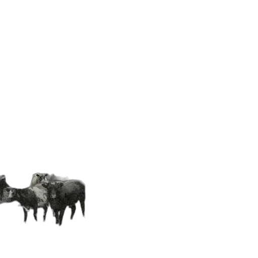 animal, creature, weapon, furniture transparent PNG cut-out
