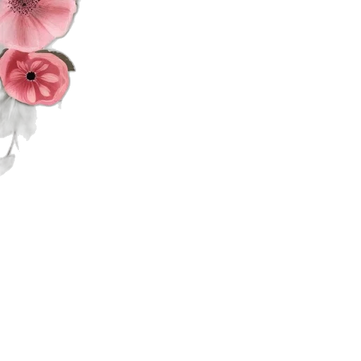 flower, jewelry, crown, hat transparent PNG cut-out