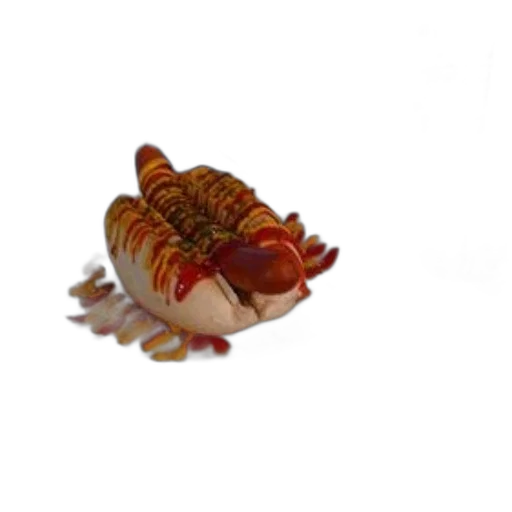 creature, animal, food, crown transparent PNG cut-out