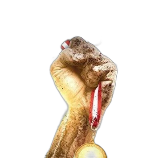 animal, staff, jewelry, food transparent PNG cut-out