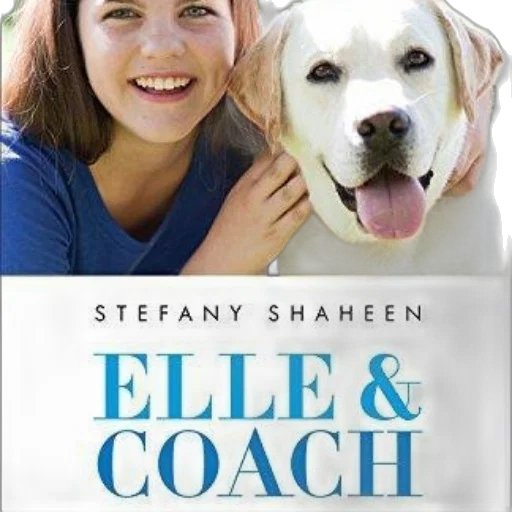 book, cover, featuring, woman transparent PNG cut-out