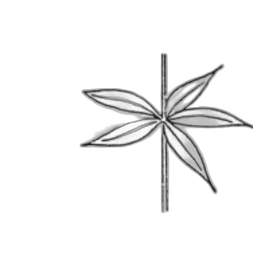 flower, crown, umbrella, jewelry transparent PNG cut-out