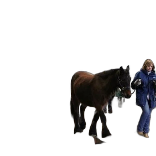animal, jacket, outer space, woman transparent PNG cut-out