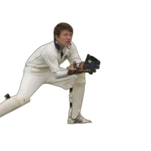 staff, weapon, photorealistic, cricket transparent PNG cut-out