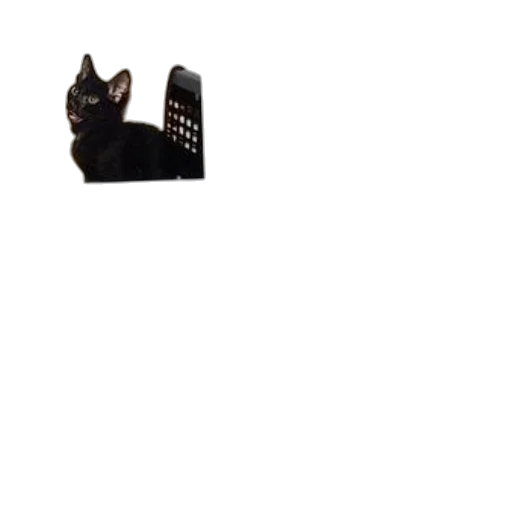 animal, creature, staff, hat transparent PNG cut-out