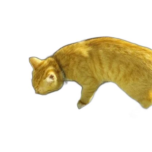 animal, creature, staff, 3d render transparent PNG cut-out