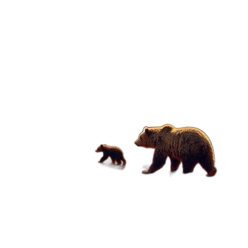 animal, creature, hair, weapon transparent PNG cut-out