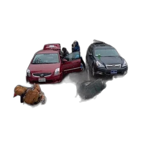 car, animal, 3d render, photorealistic transparent PNG cut-out
