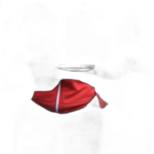 jacket, dress, hat, staff transparent PNG cut-out