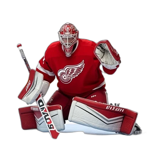 animal, nhl, red, wings transparent PNG cut-out