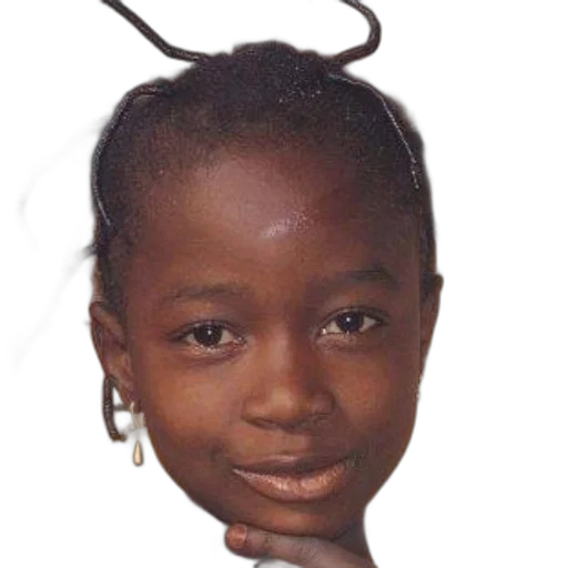 face, animal, hair, creature transparent PNG cut-out
