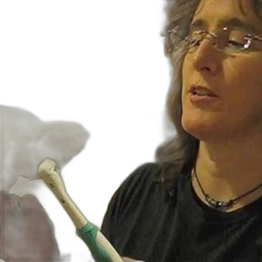 staff, woman, glasses, black transparent PNG cut-out