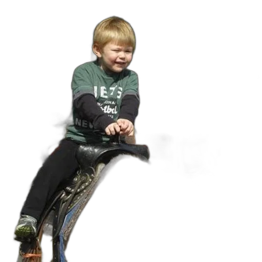 shoes, creature, staff, dragon transparent PNG cut-out