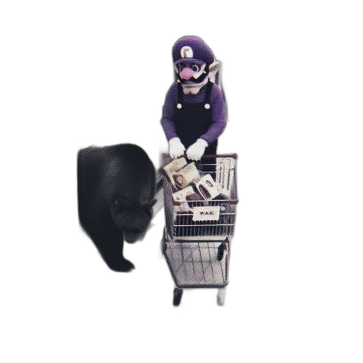 animal, robot, creature, hat transparent PNG cut-out