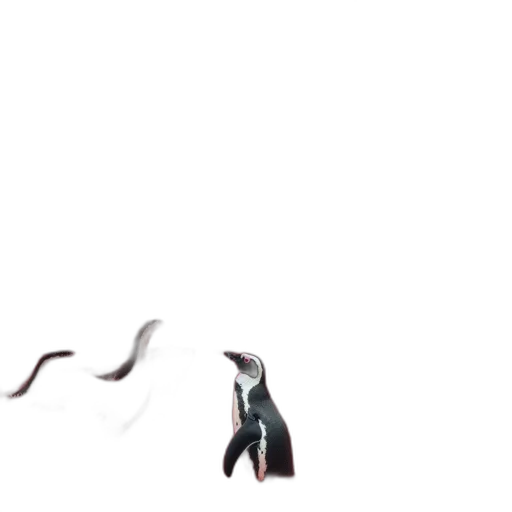 animal, creature, shoes, weapon transparent PNG cut-out
