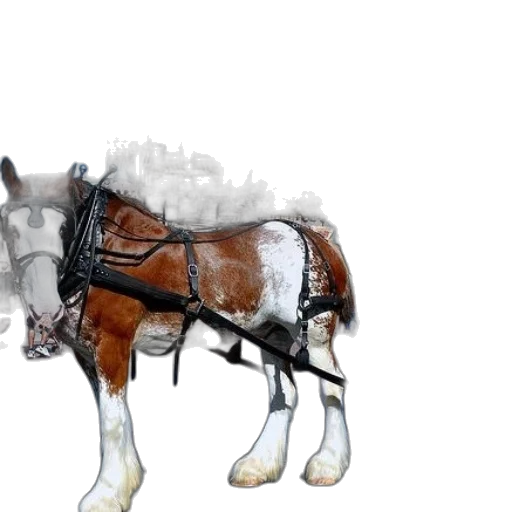 animal, robot, creature, weapon transparent PNG cut-out