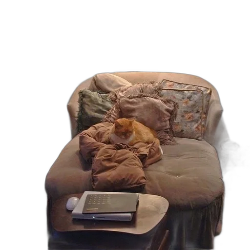 furniture, jacket, animal, creature transparent PNG cut-out