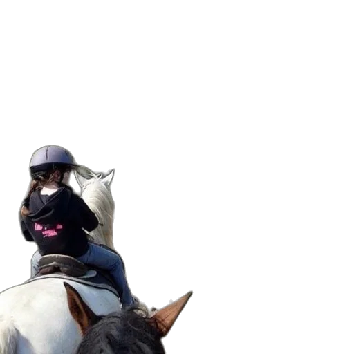 hat, animal, staff, mask transparent PNG cut-out