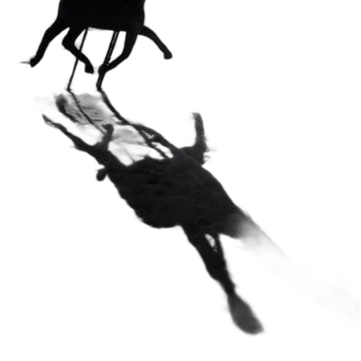 umbrella, dragon, animal, staff transparent PNG cut-out