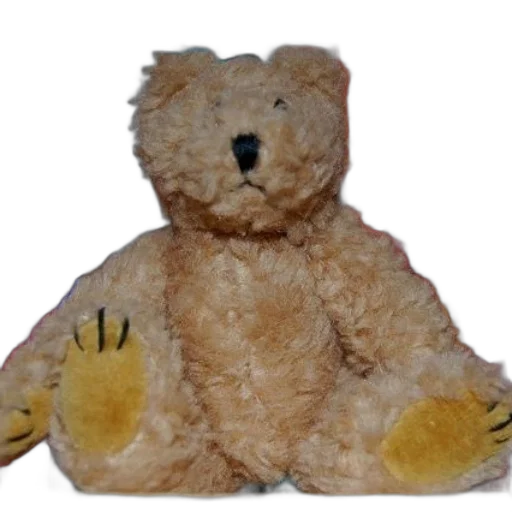 staff, animal, teddy, bear transparent PNG cut-out