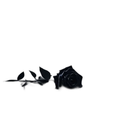 flower, umbrella, weapon, crown transparent PNG cut-out