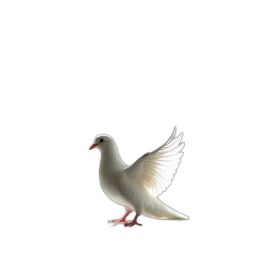 animal, creature, weapon, food transparent PNG cut-out