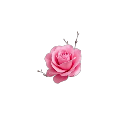 flower, jewelry, crown, staff transparent PNG cut-out