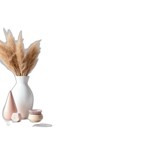 hair, food, crown, jewelry transparent PNG cut-out